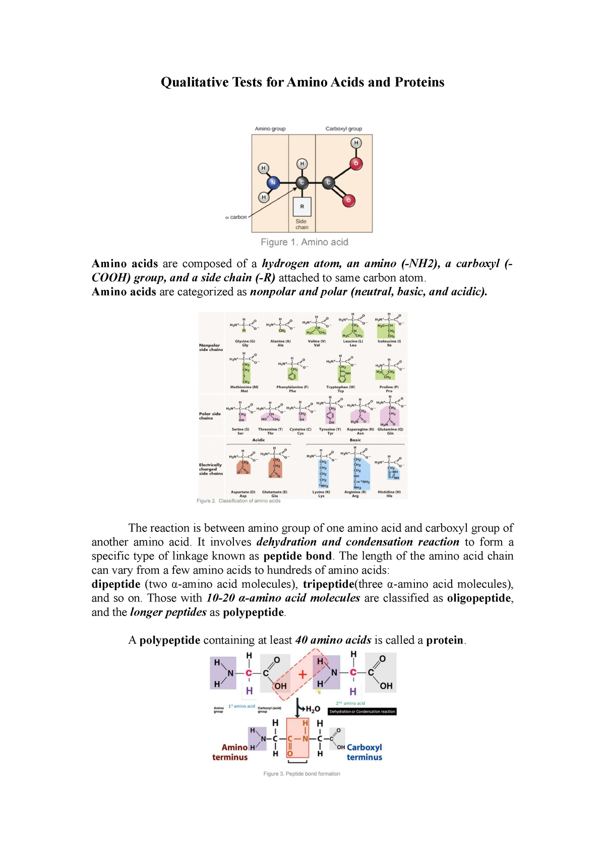 experiment 2 qualitative analysis of amino acids and proteins