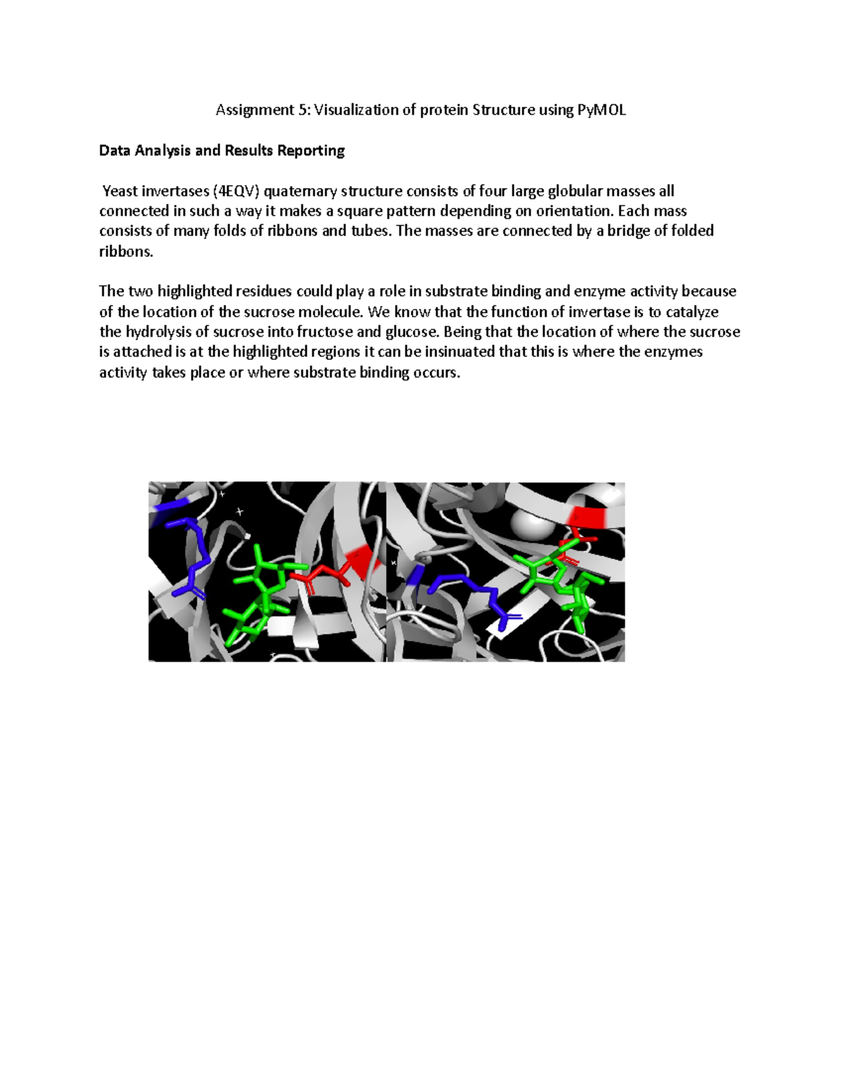 Assignment 5 - N/A - Assignment 5: Visualization Of Protein Structure ...