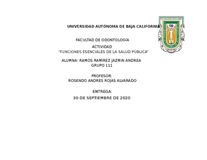 HNE DEL VIH-SIDA - epidemiologia, triada ecologica y niveles de ...