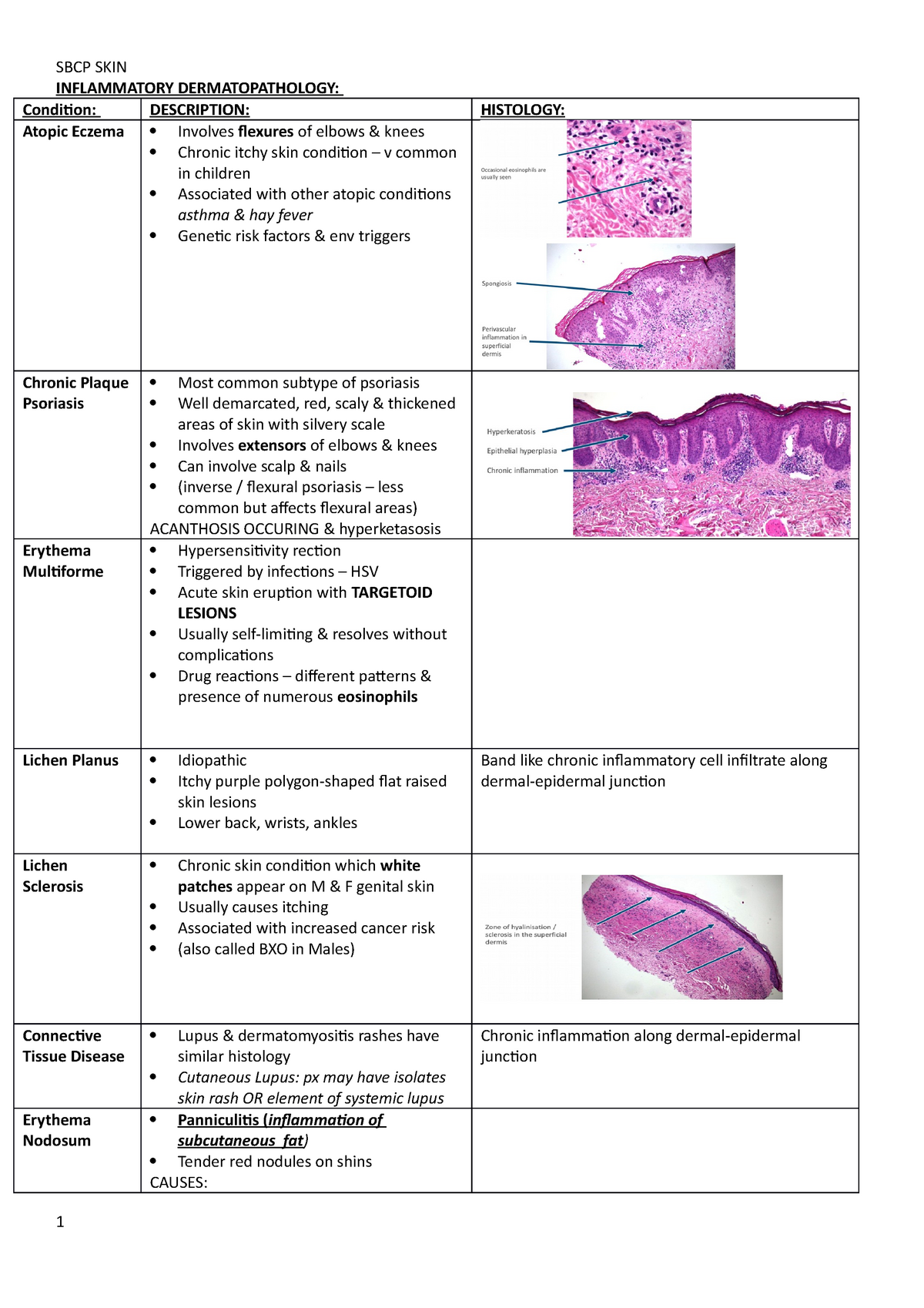 1. SKIN Pathology Notes - INFLAMMATORY DERMATOPATHOLOGY: Condiion ...