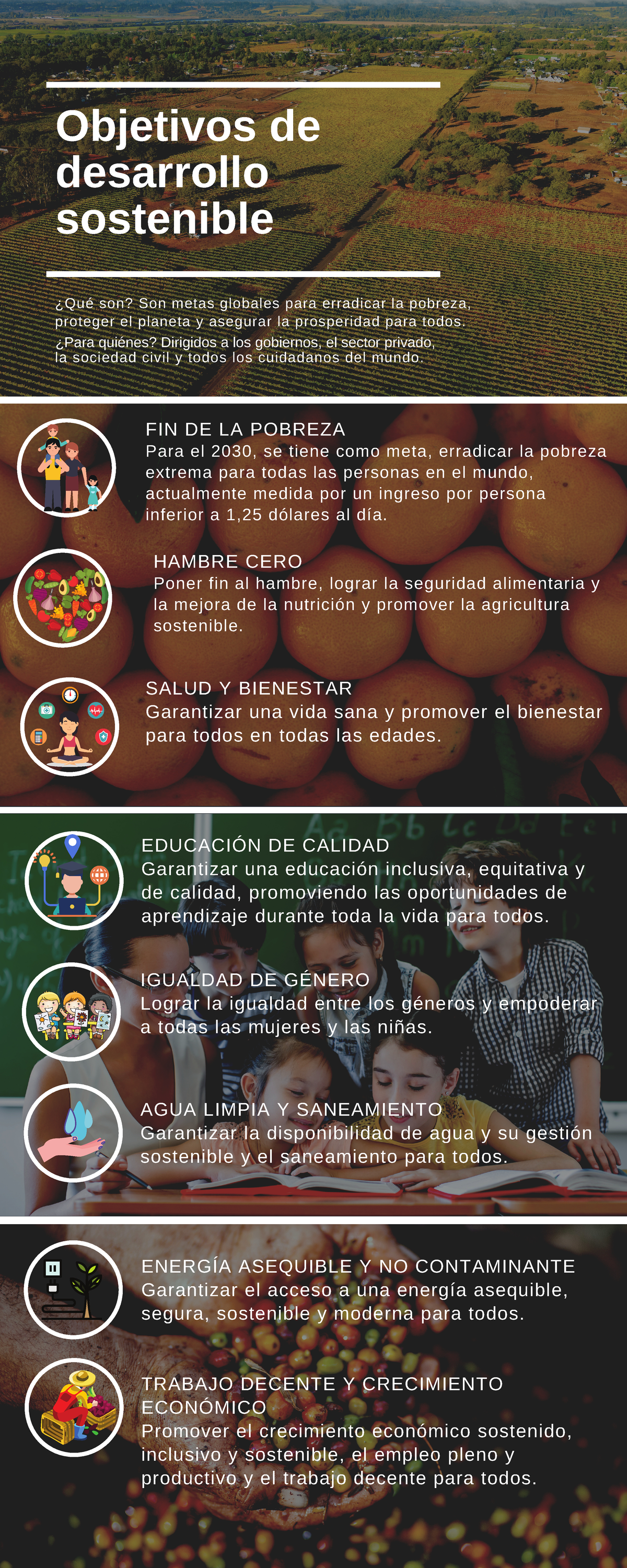 3 INFO Análisis del sector real - Objetivos de desarrollo sostenible ...