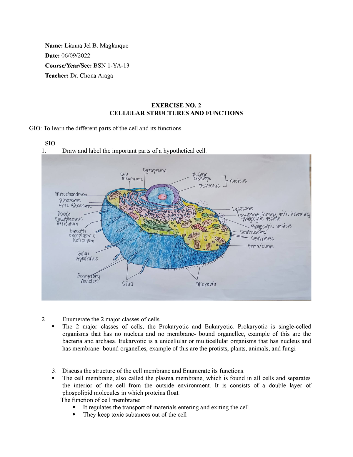 exercise-no-2-cell-structures-and-functions-name-lianna-jel-b