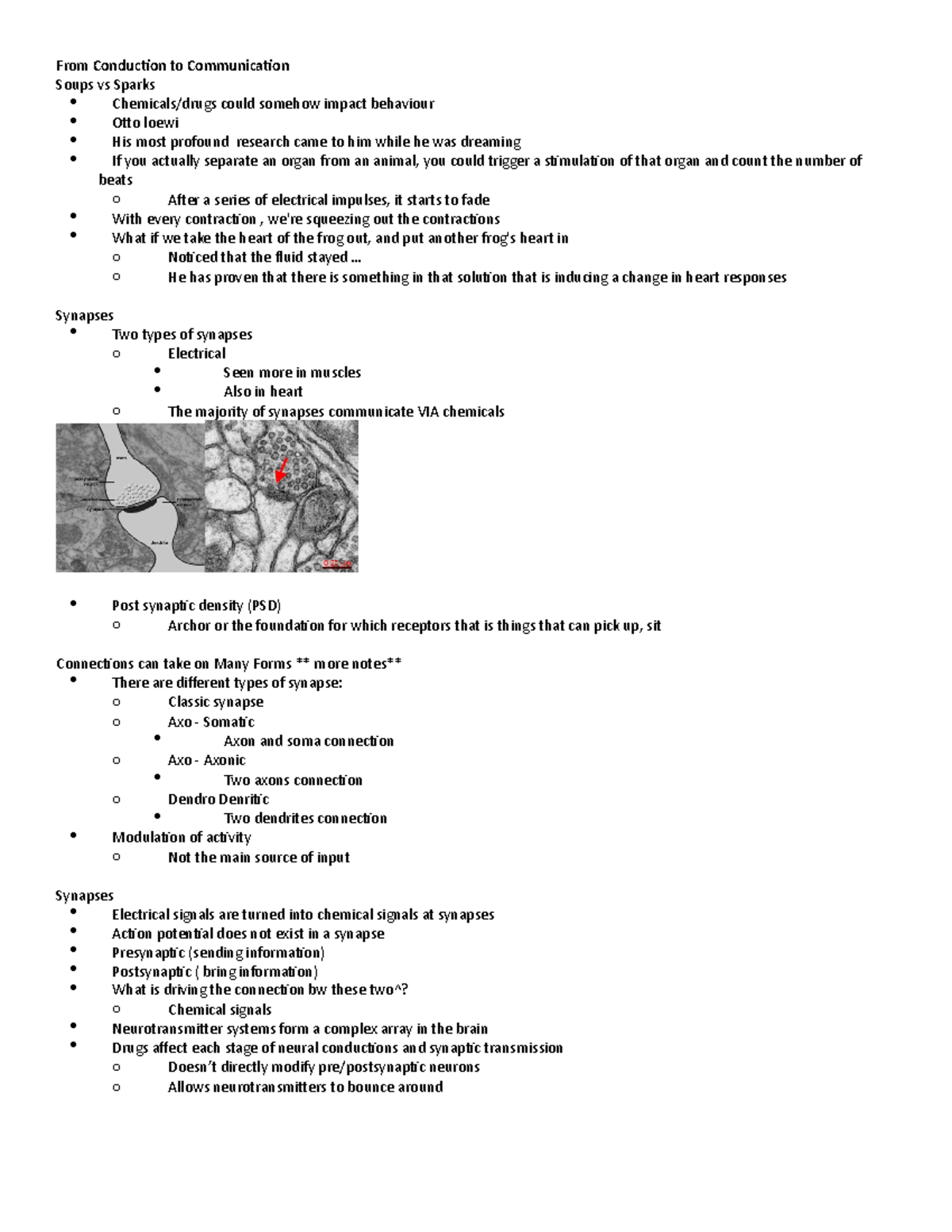 PSY290 Lecture 5 Notes From Conduction to Communication Soups vs Sparks Chemicals/drugs