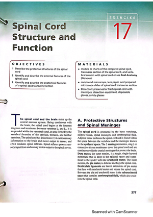 Brain structure and function part 1 - BIOL 141 - Studocu