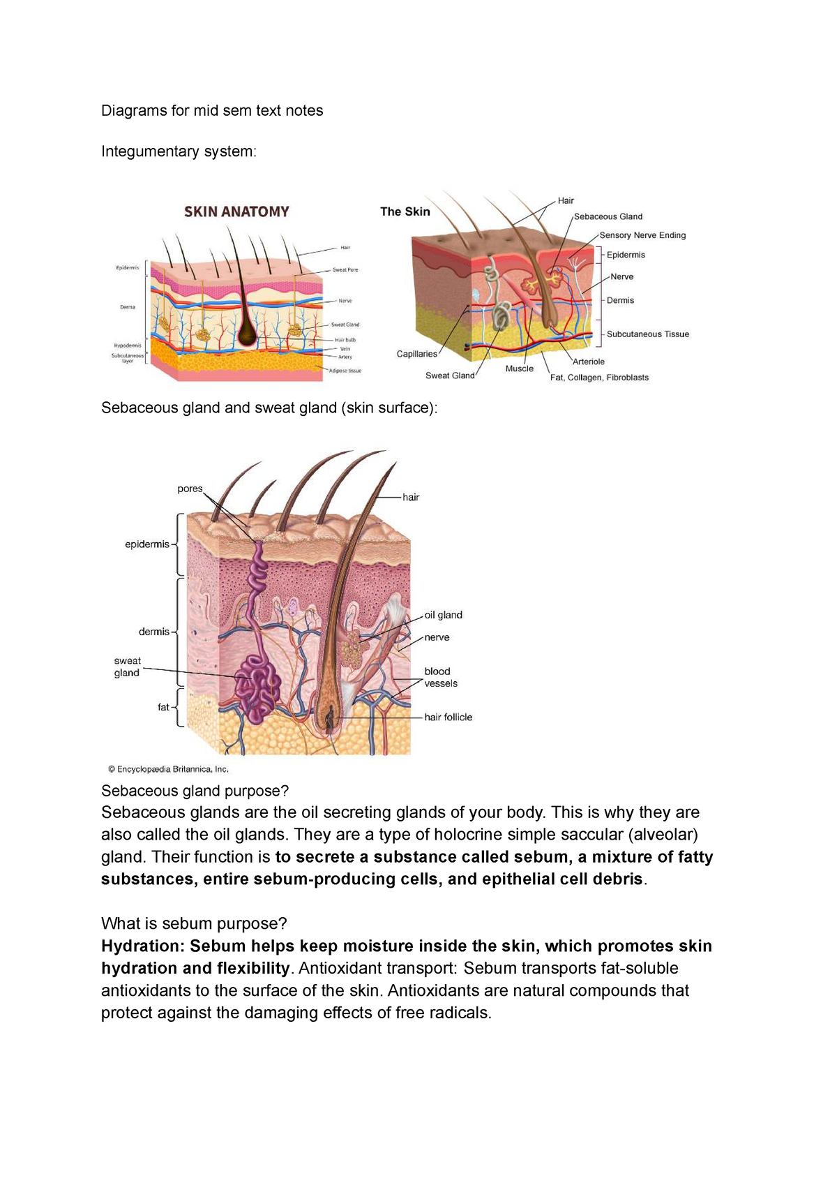 Visual notes for mid sem test biosci 107 - Diagrams for mid sem text ...