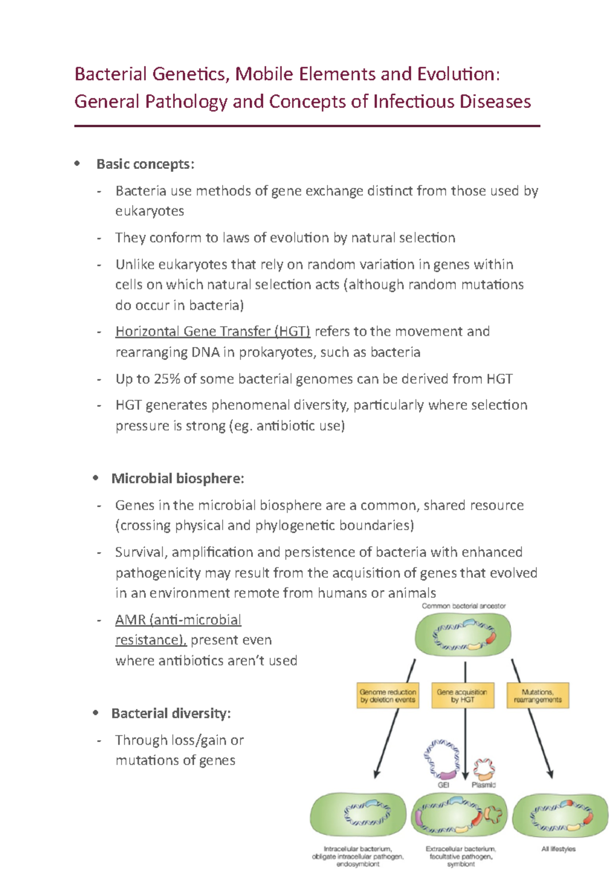 Bacterial mobile elements evolution Gpcid Bacterial