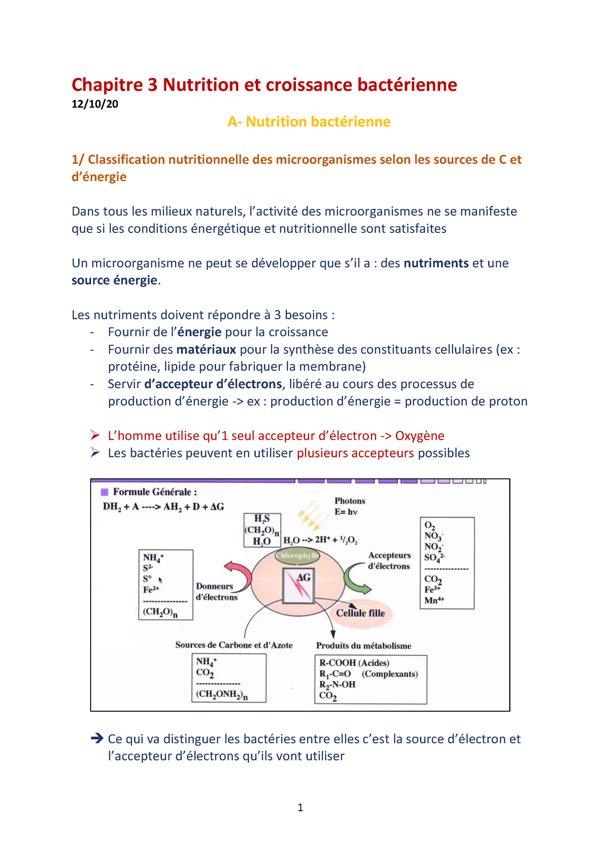 Nutrition Et Croissance - Les Nutriments Doivent Répondre à 3 Besoins ...