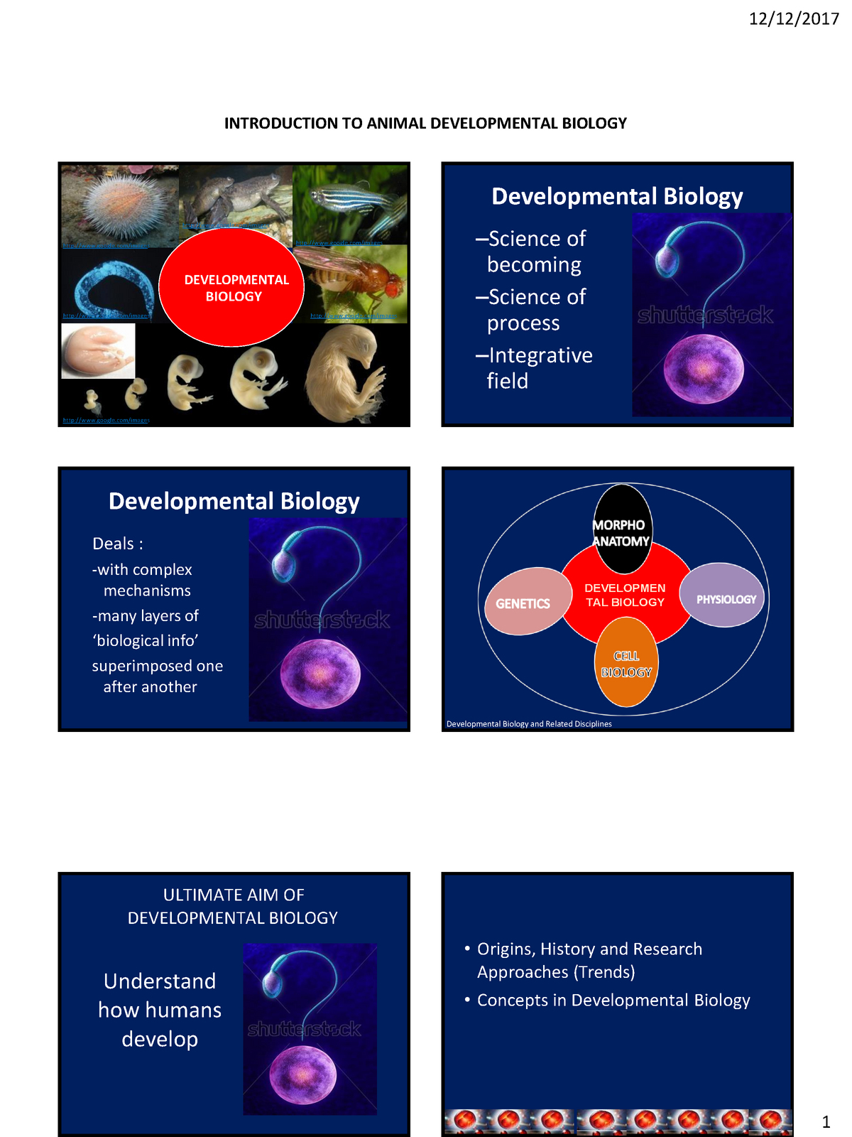 Introduction to Animal Developmental Biology - Studocu