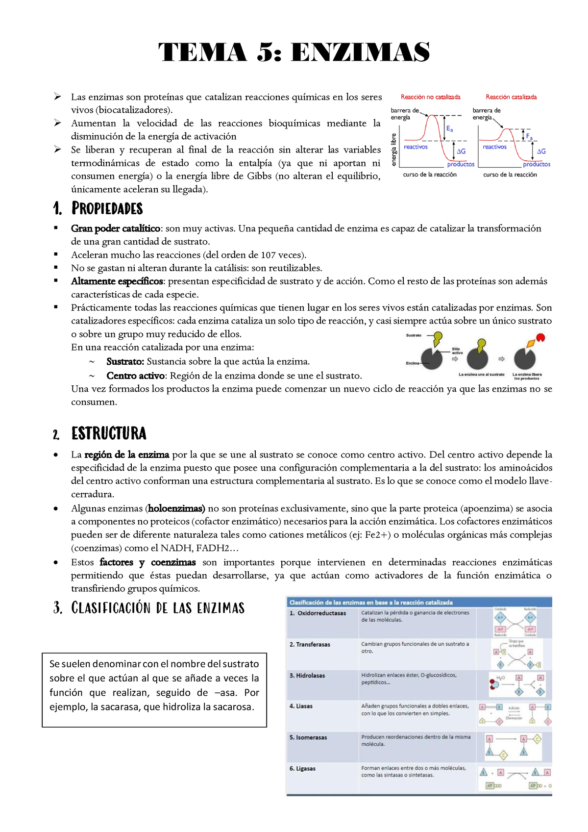 Tema Enzimas Apuntes Para La Selectividad De Biolog A Tema Enzimas Las Enzimas Son