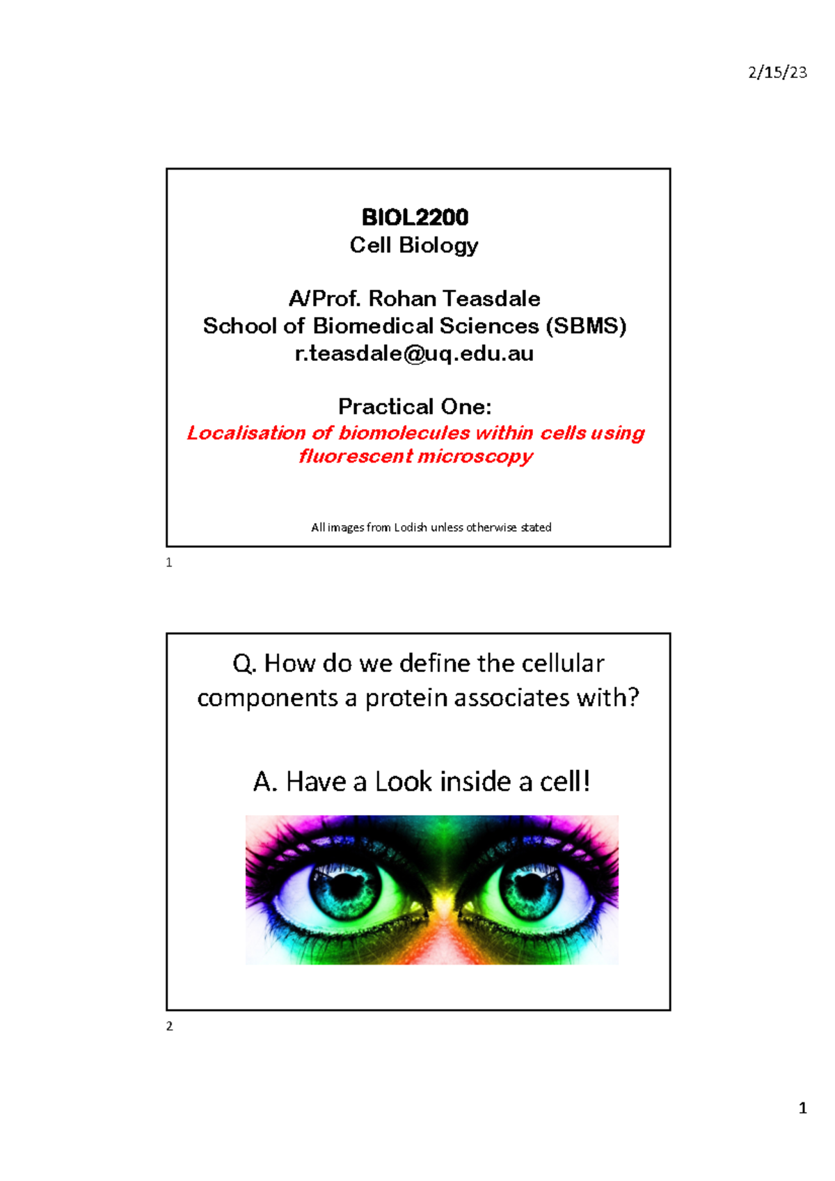 BIOL2200 Introduction To Practical One 2023 Final - BIOL 2200 Cell ...