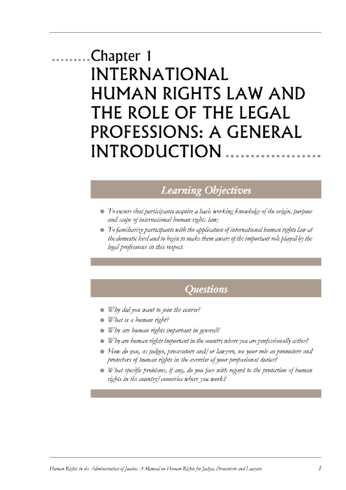 International human rights law and the role of the legal professions ...