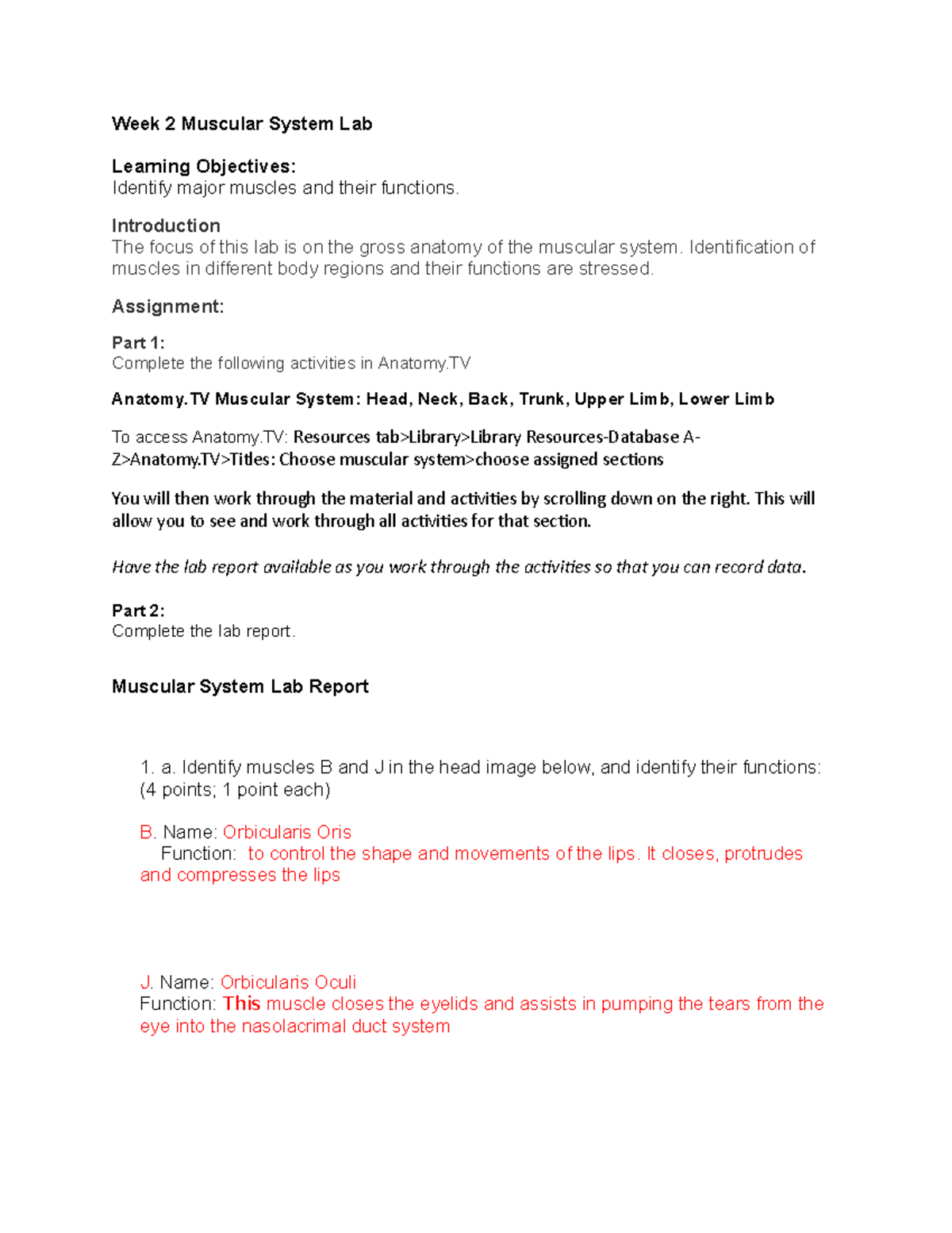 Week 2 Lab Report - Notes - Week 2 Muscular System Lab Learning ...