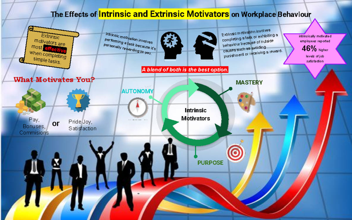 CCT infographic pg 1 - Maha - What Motivates You? The Effects of ...