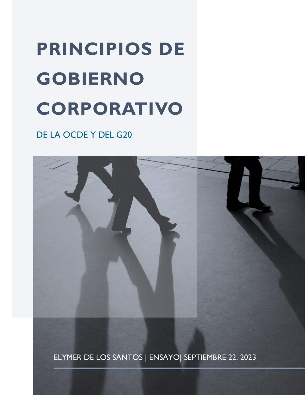 Tarea 1.2 Ensayo Principios De Gobierno Corporativo. Elymer De Los ...