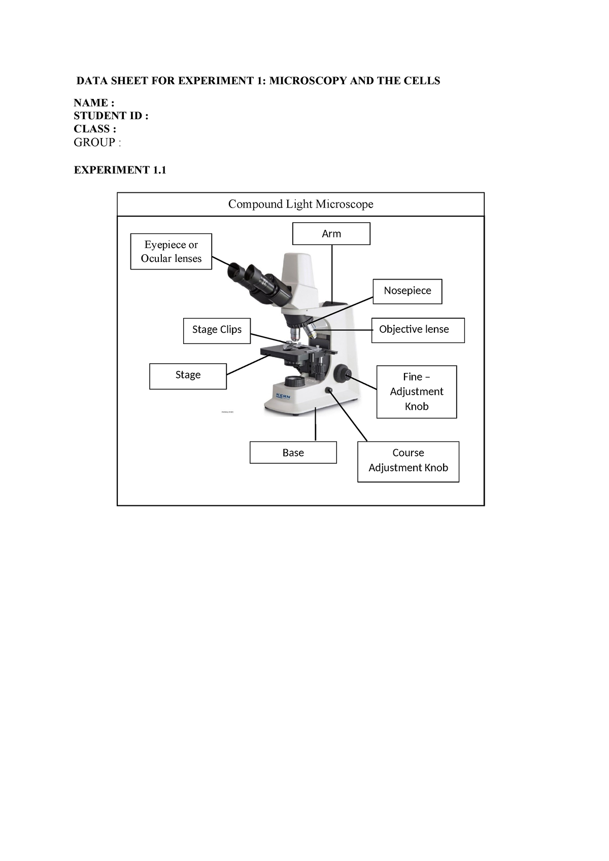 Result Exp 1 Bio - DATA SHEET FOR EXPERIMENT 1: MICROSCOPY AND THE ...