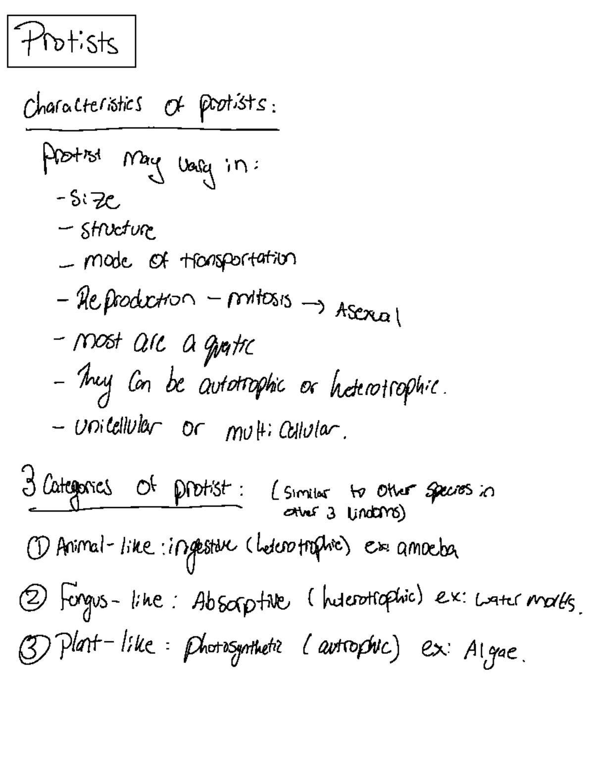 Protists - enjoy - Protists characteristics of protists : - protist may ...