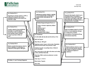 NURS 486 Concept Map - Public and Community Health Nursing Practicum ...
