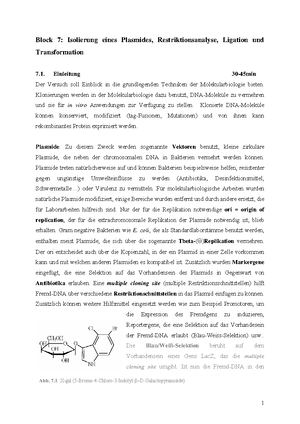 Biochemie - Alles, Was In Der Vorlesung Drankommt - Biochemie Für ...