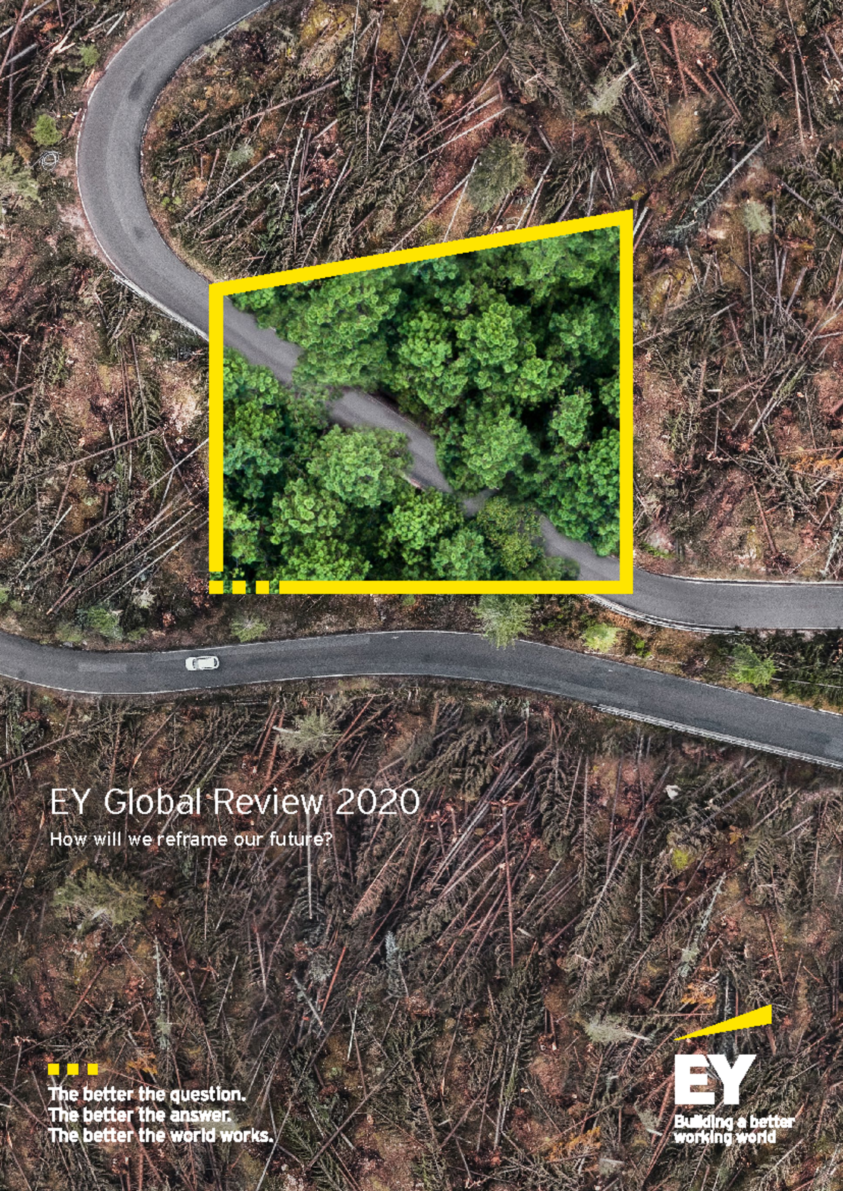 Ey global review 2020 v3 - EY Global Review 2020 How will we reframe ...