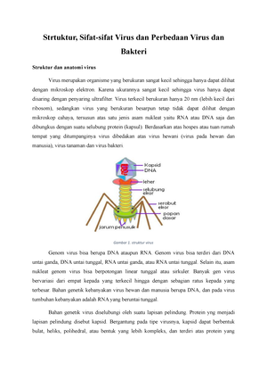 Pengantar Virologi, Sejarah Dan Struktur Utama Penyusun Tubuh Virus ...