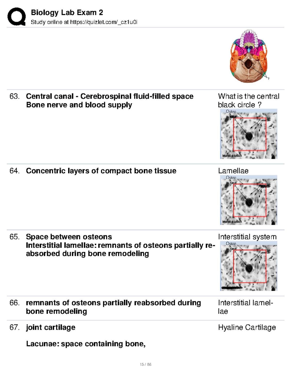 Biology Lab Exam 2pt5 Study guide Biology Lab Exam 2 Study online at quizlet/_cz1u0i Central
