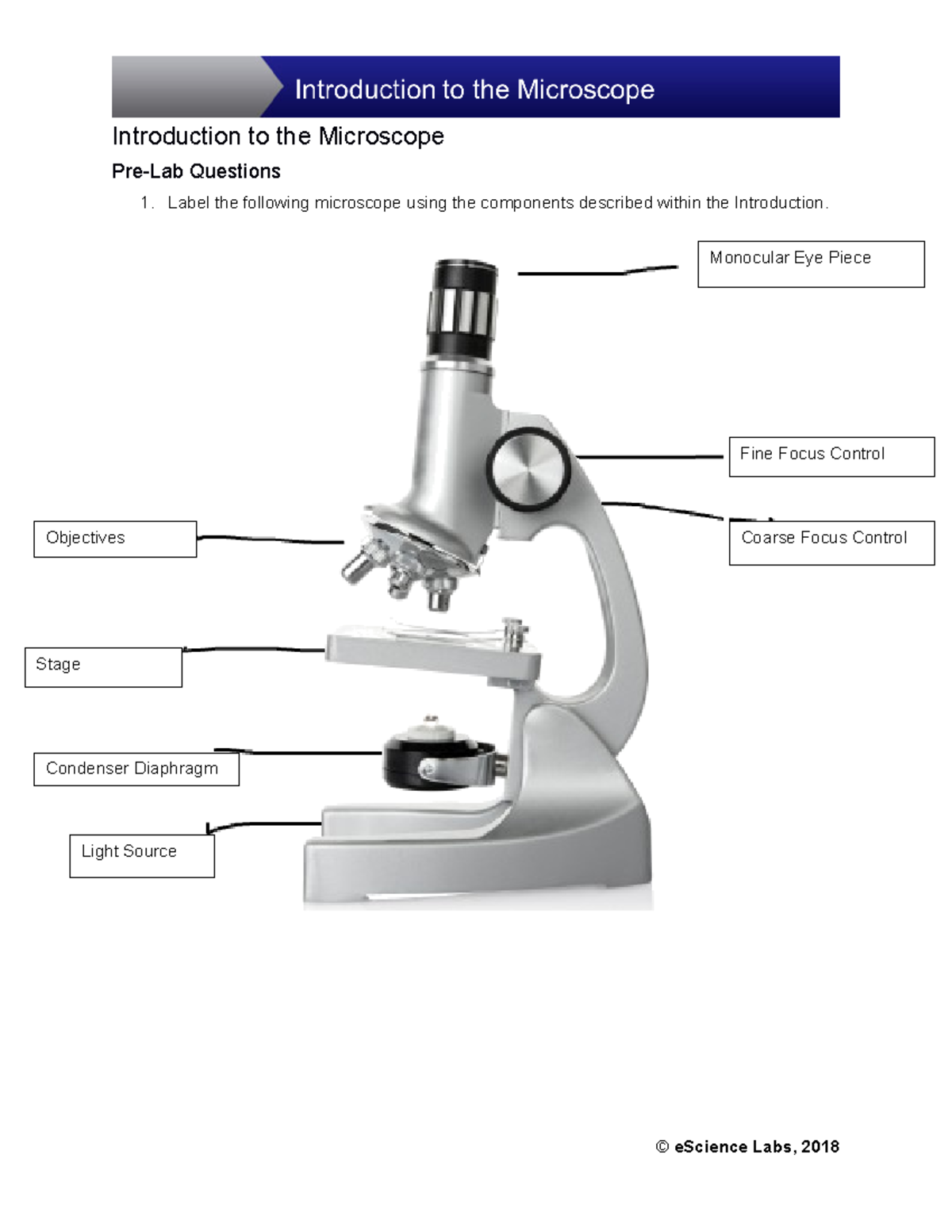 Lab 4 Escience Microscopes BIO 105 IWCC Studocu