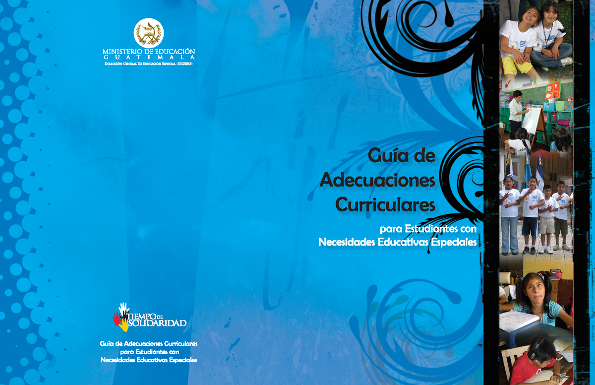 Manual De Adecuaciones Curriculares - Licenciada Ana Ordónez De Molina ...