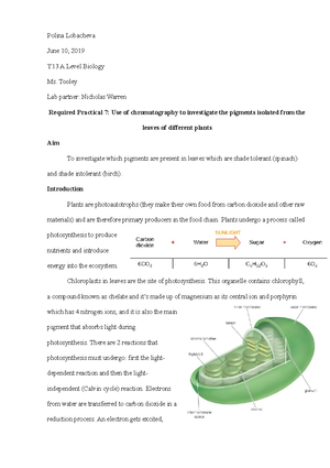 Practical 10 - A-Level Biology coursework - Polina Lobacheva Y13 A ...