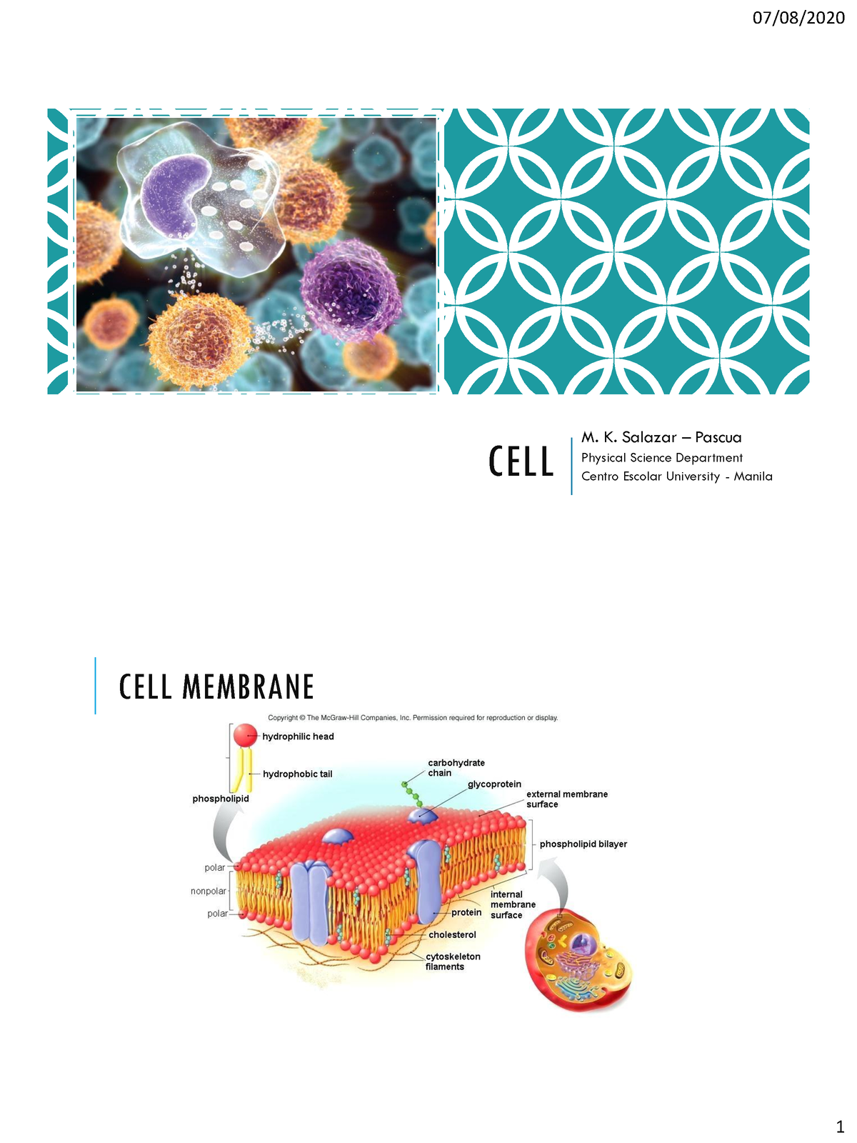 parts-of-a-cell-crossword-labs