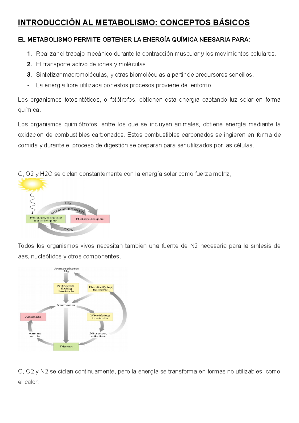 Introducción Al Metabolismo IntroducciÓn Al Metabolismo Conceptos BÁsicos El Metabolismo 2727