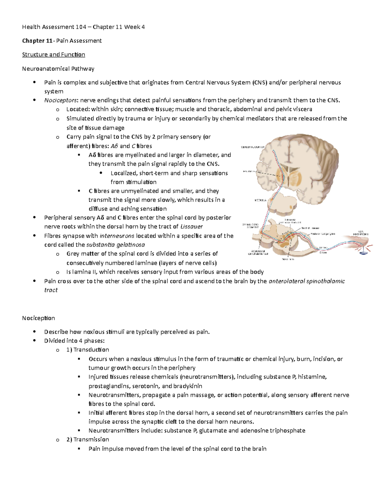 Health Assessment-chp11 - Health Assessment 104 – Chapter 11 Week 4 ...