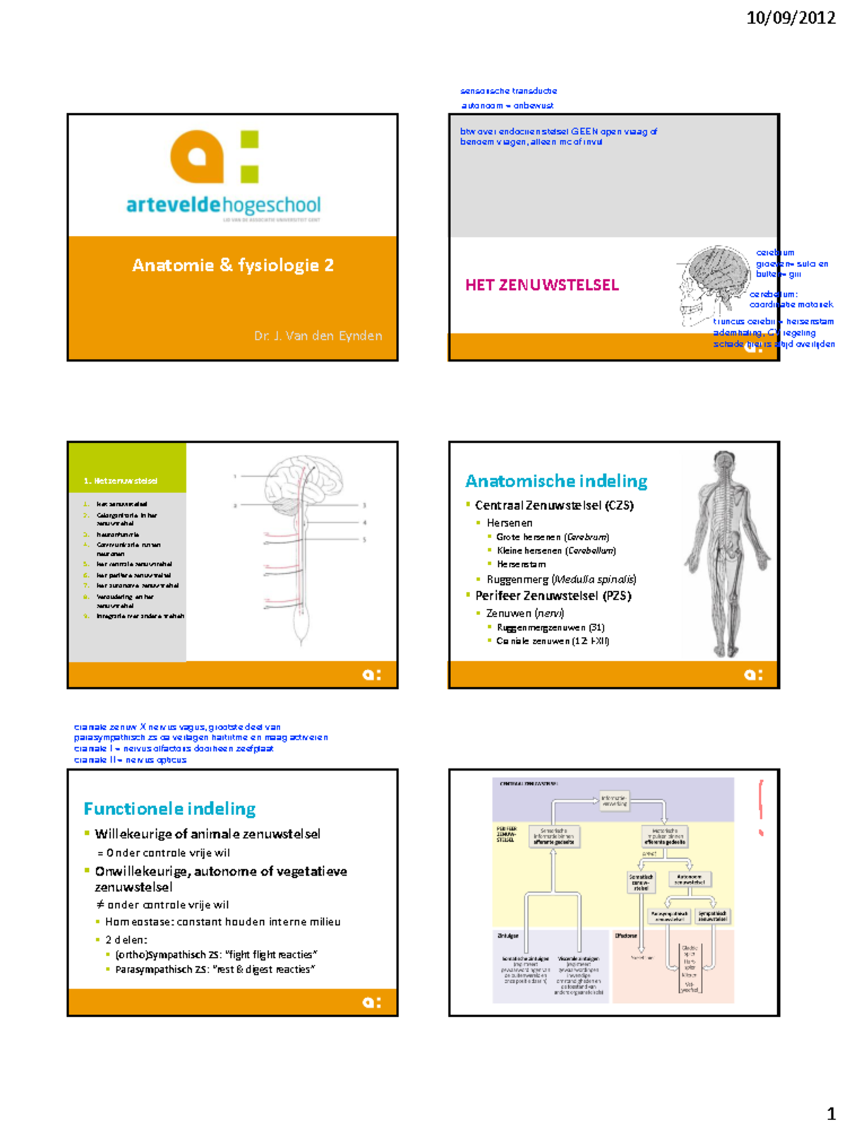 A&F 2 - JVd E - H8 Zenuwstelsel - Anatomie & Fysiologie 2 Dr. J. Van ...