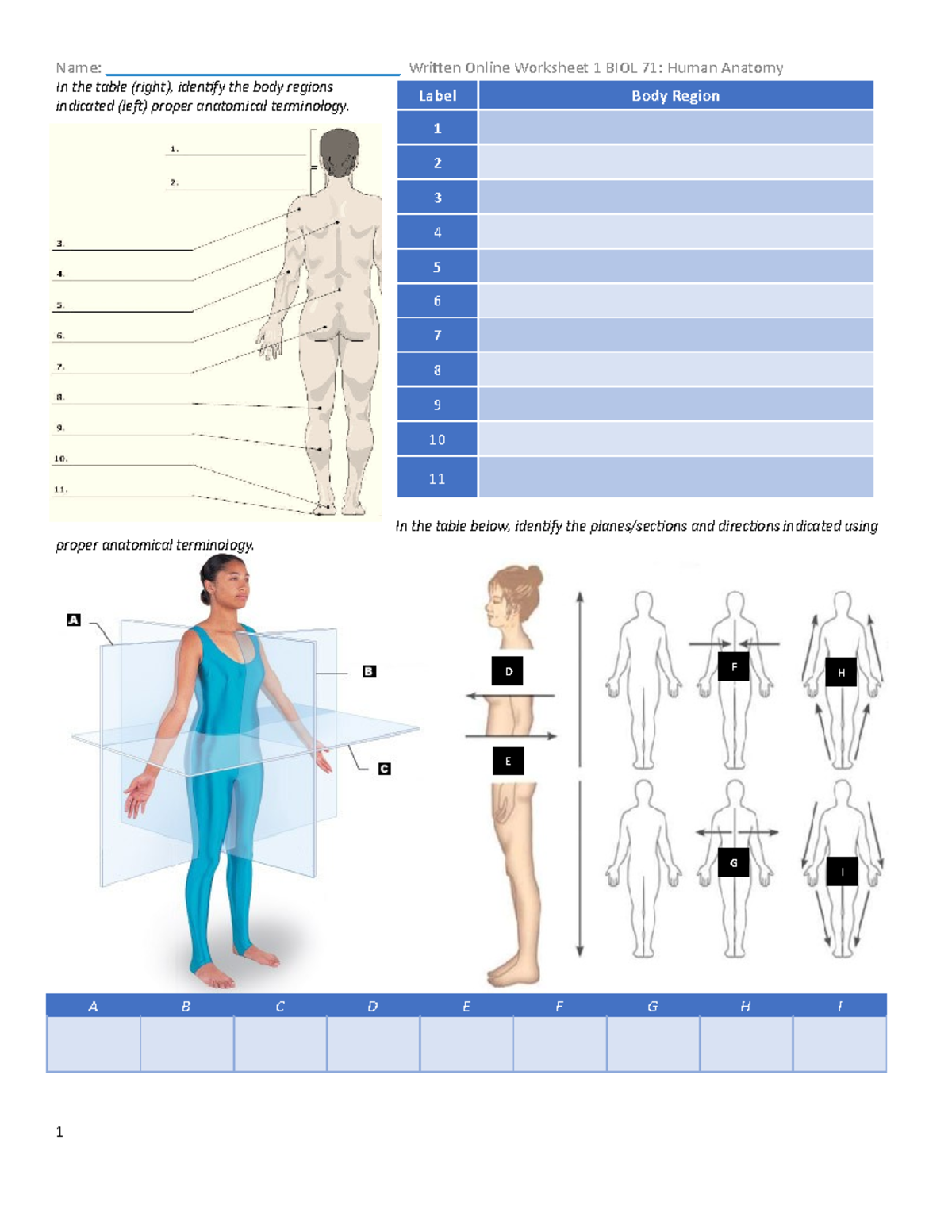BIOL 71 - Written Online Worksheet 1 lab - Name ...