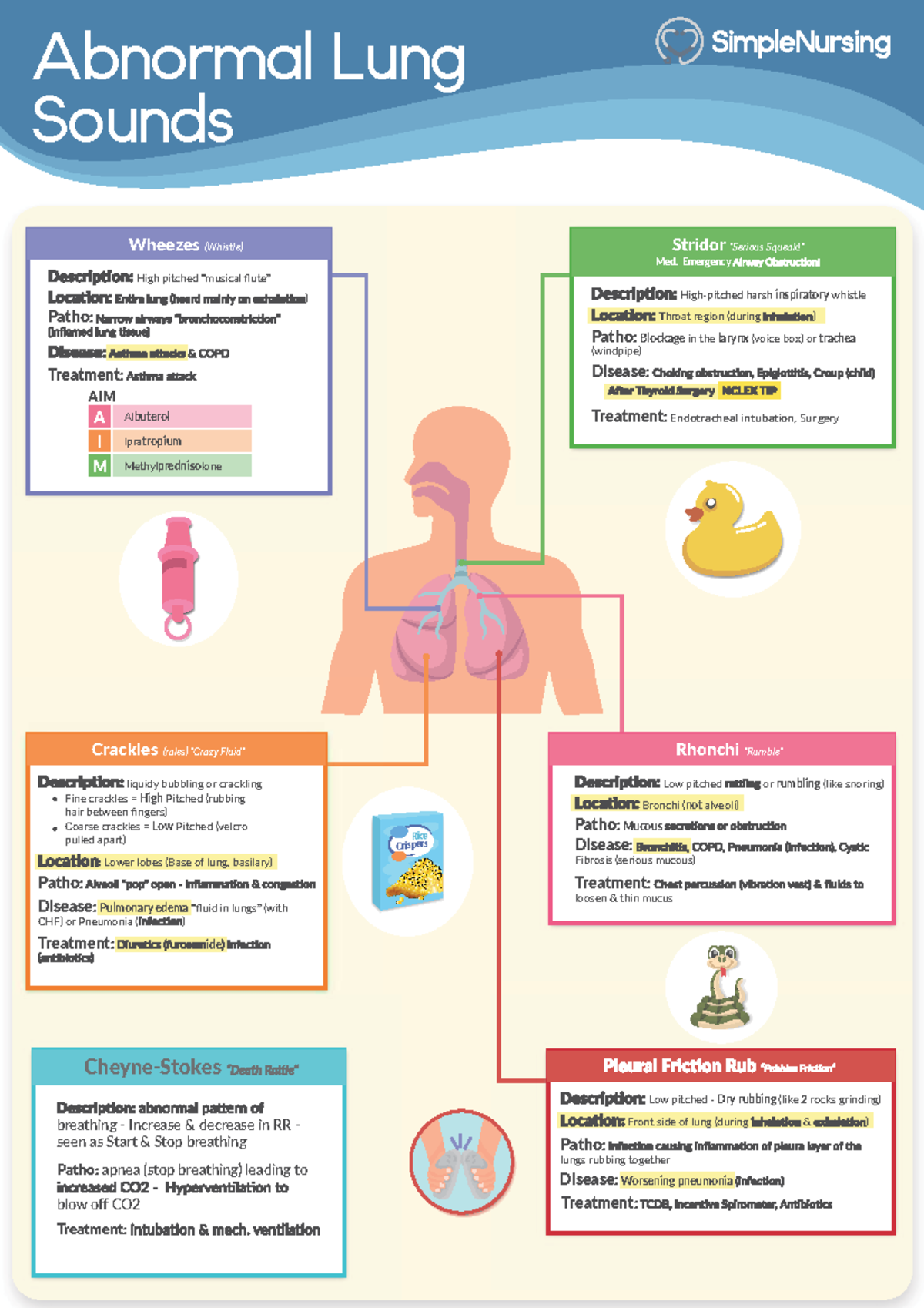Abnormal lung sounds Nurse Mike Notes Respiratory Abnormal Lung