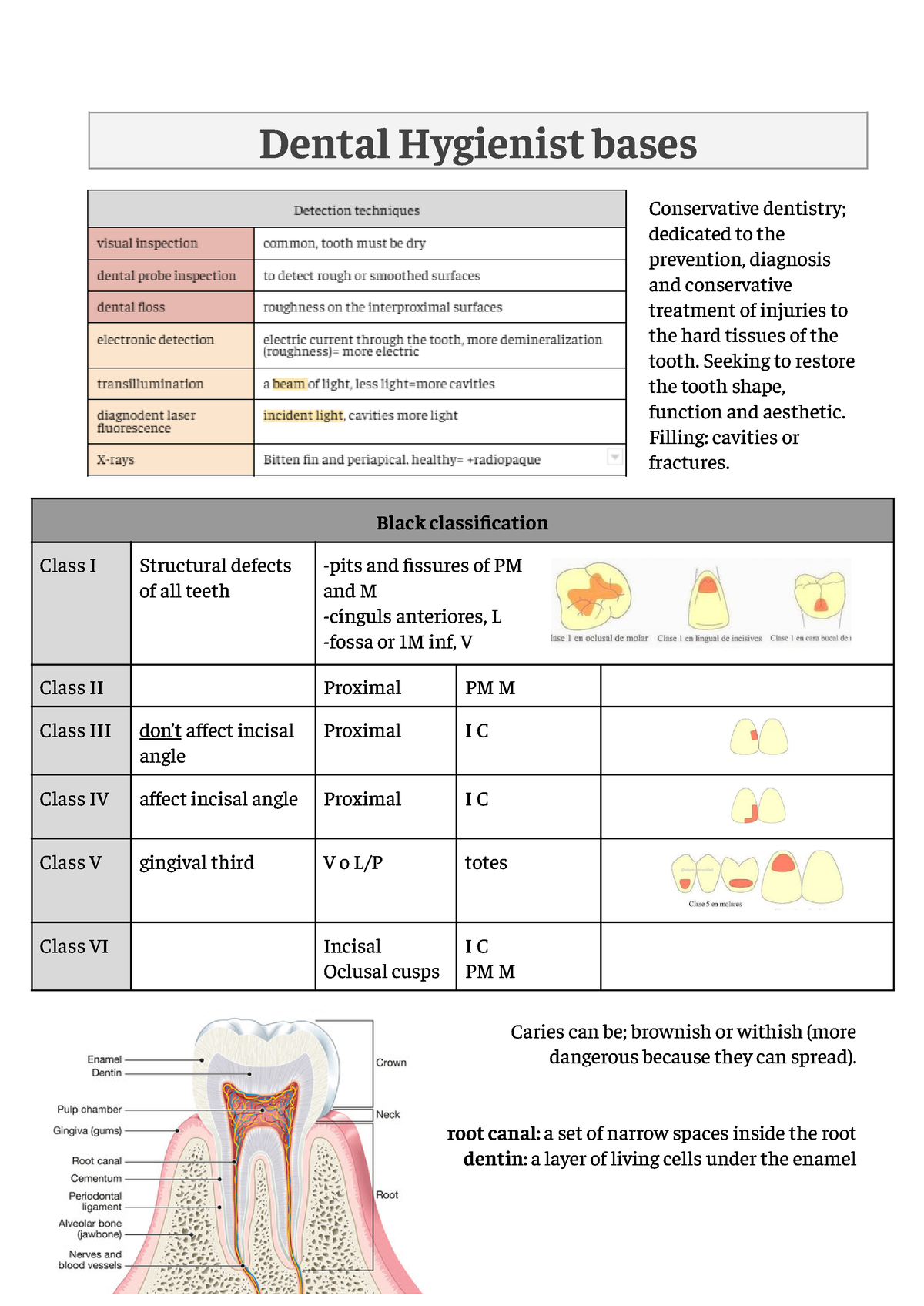 Dental Hygienist bases - Dental Hygienist bases Conservative dentistry ...