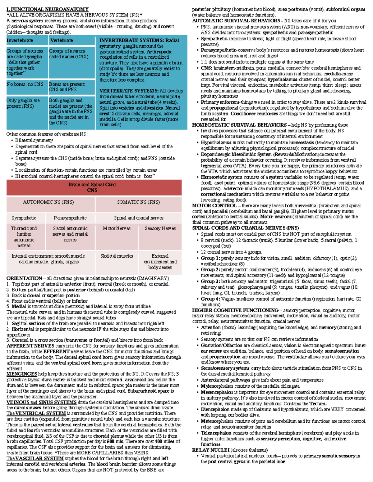 BBC Notes Exam 1 - I. FUNCTIONAL NEUROANATOMY ALL ALIVE ORGANISMS HAVE ...