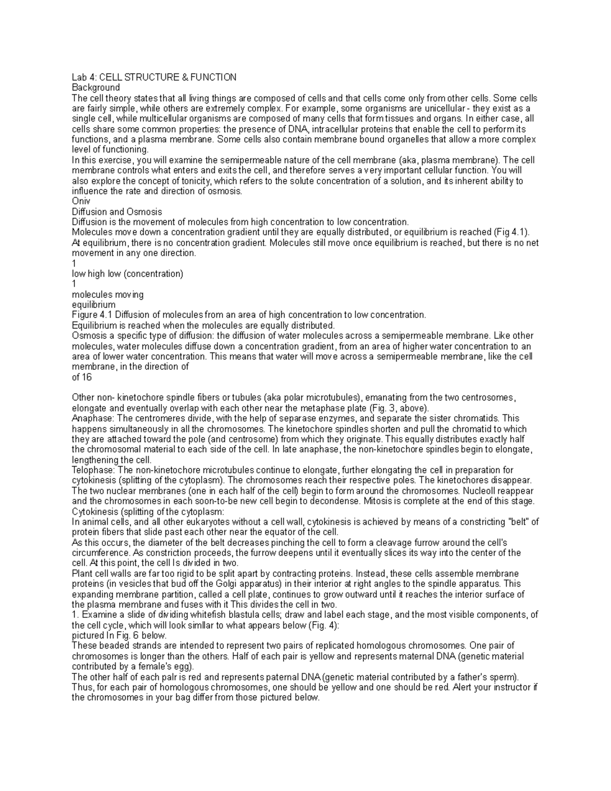 Lab cell structure bio - bio lecture notes - Lab 4: CELL STRUCTURE ...
