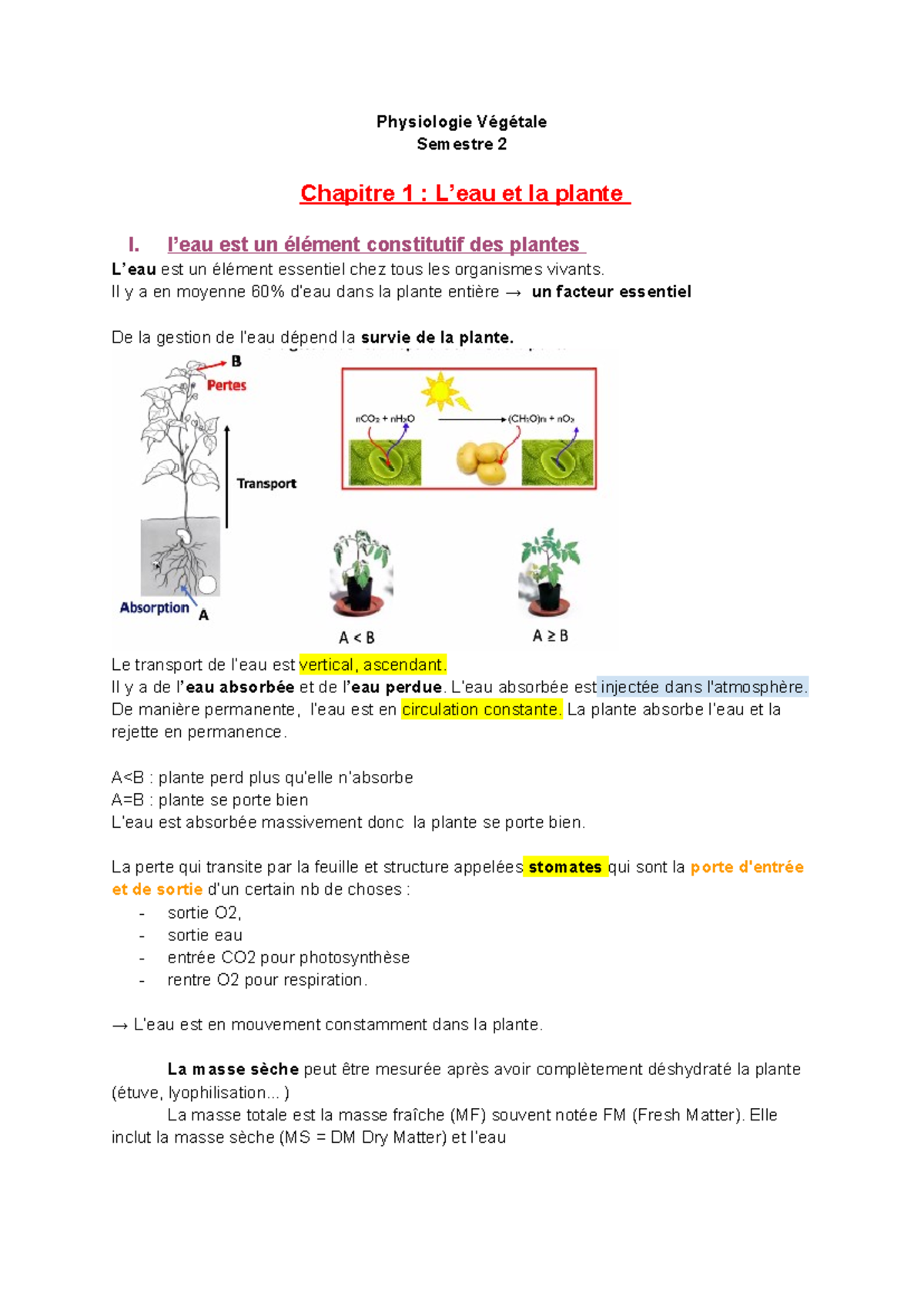 Phyve Chap 1 L eau et la plante - Physiologie Végétale Semestre 2 ...
