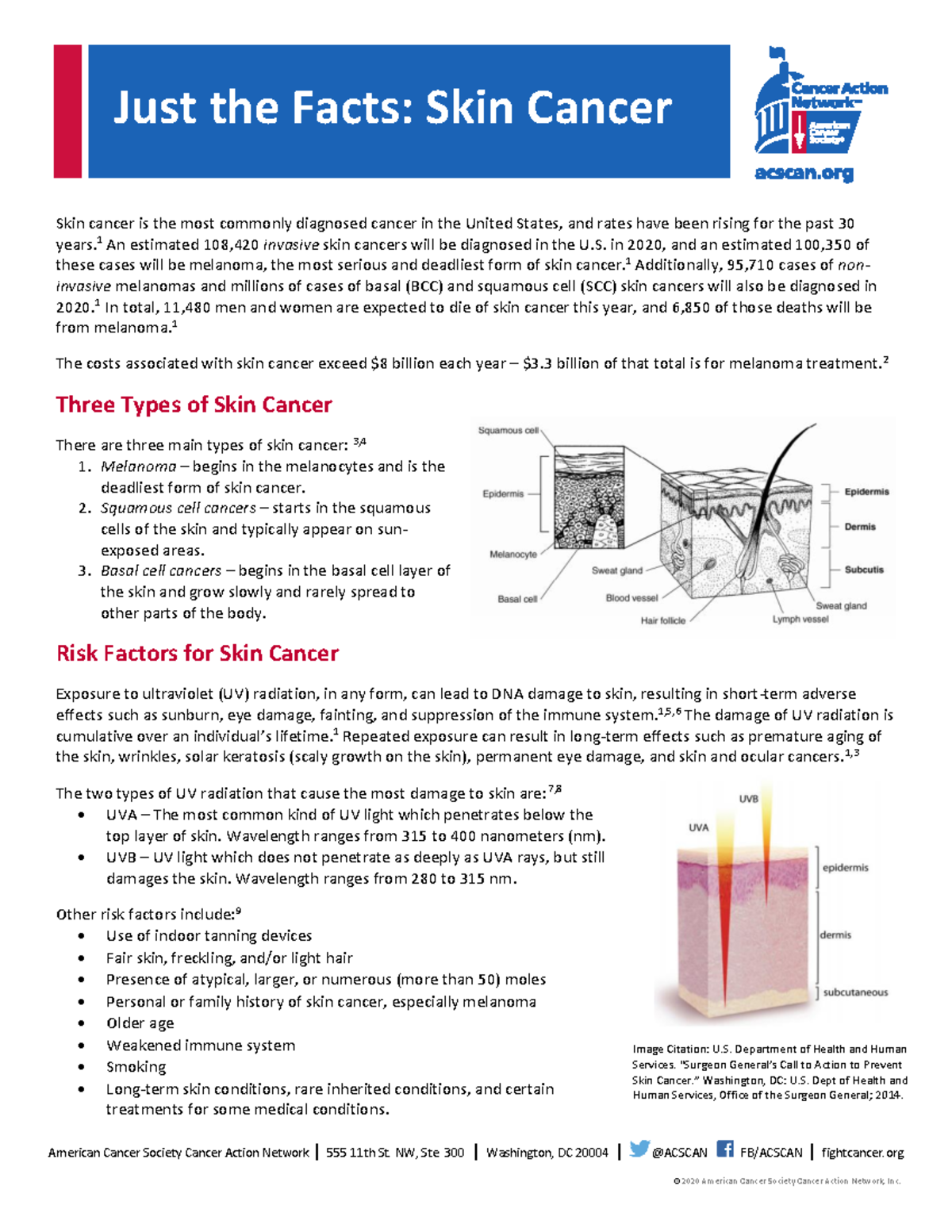 Skin cancer facts - ©2020 American Cancer Society Cancer Action Network ...