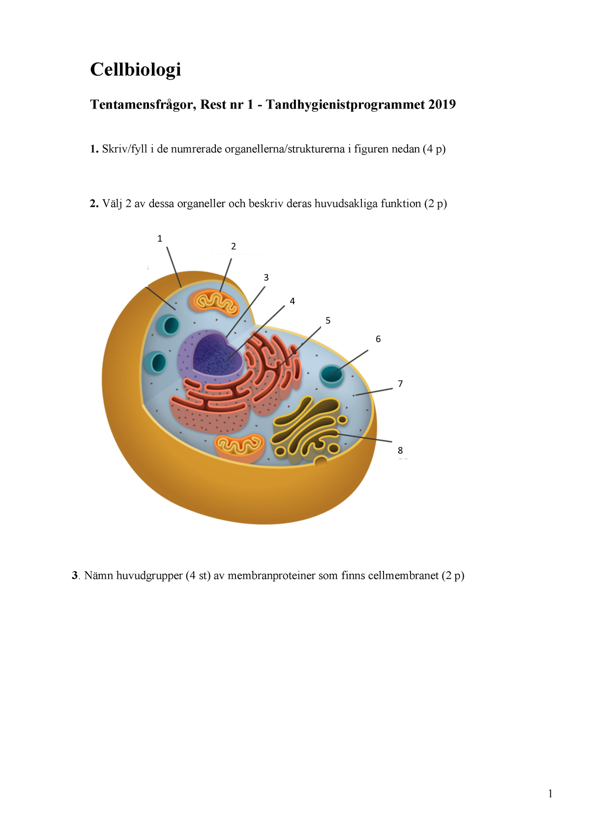 Tentamensfrågor Cellbiologi 2-1 - 1 Cellbiologi Tentamensfrågor, Rest ...