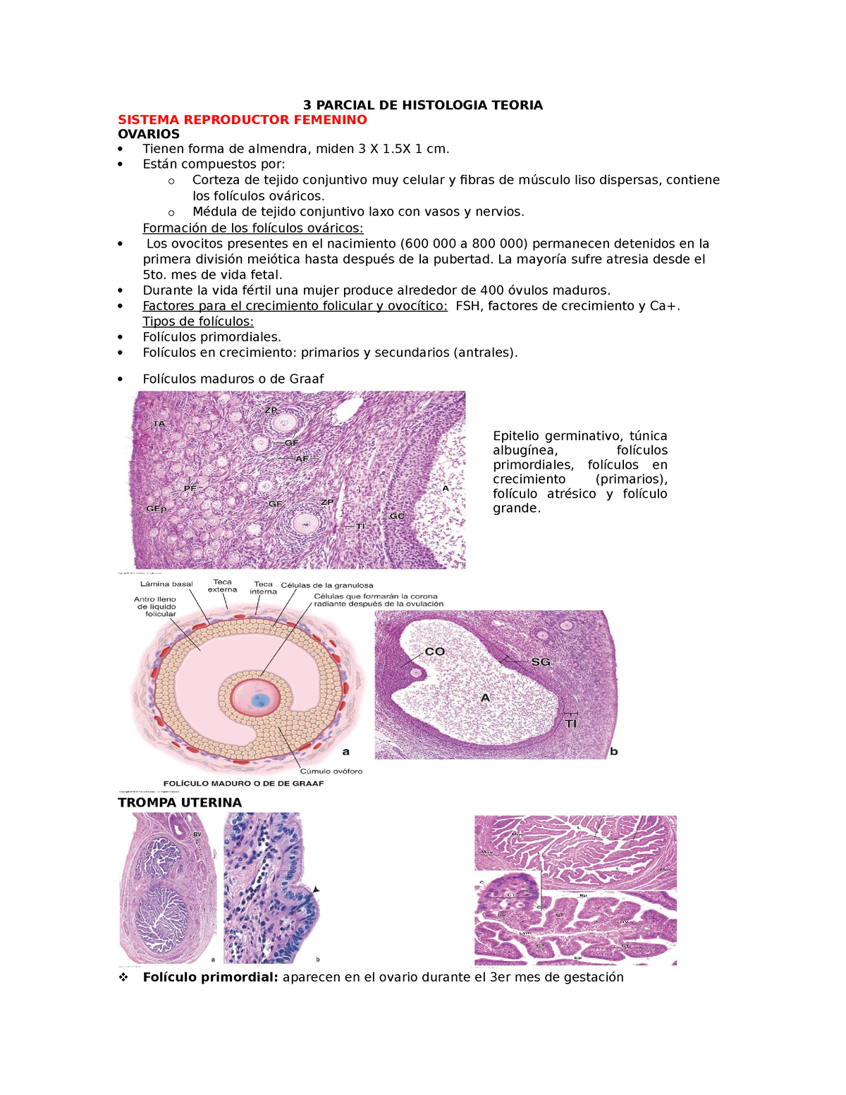 3 Parcial De Histologia Teoria 3 Parcial De Histologia Teoria Sistema Reproductor Femenino 