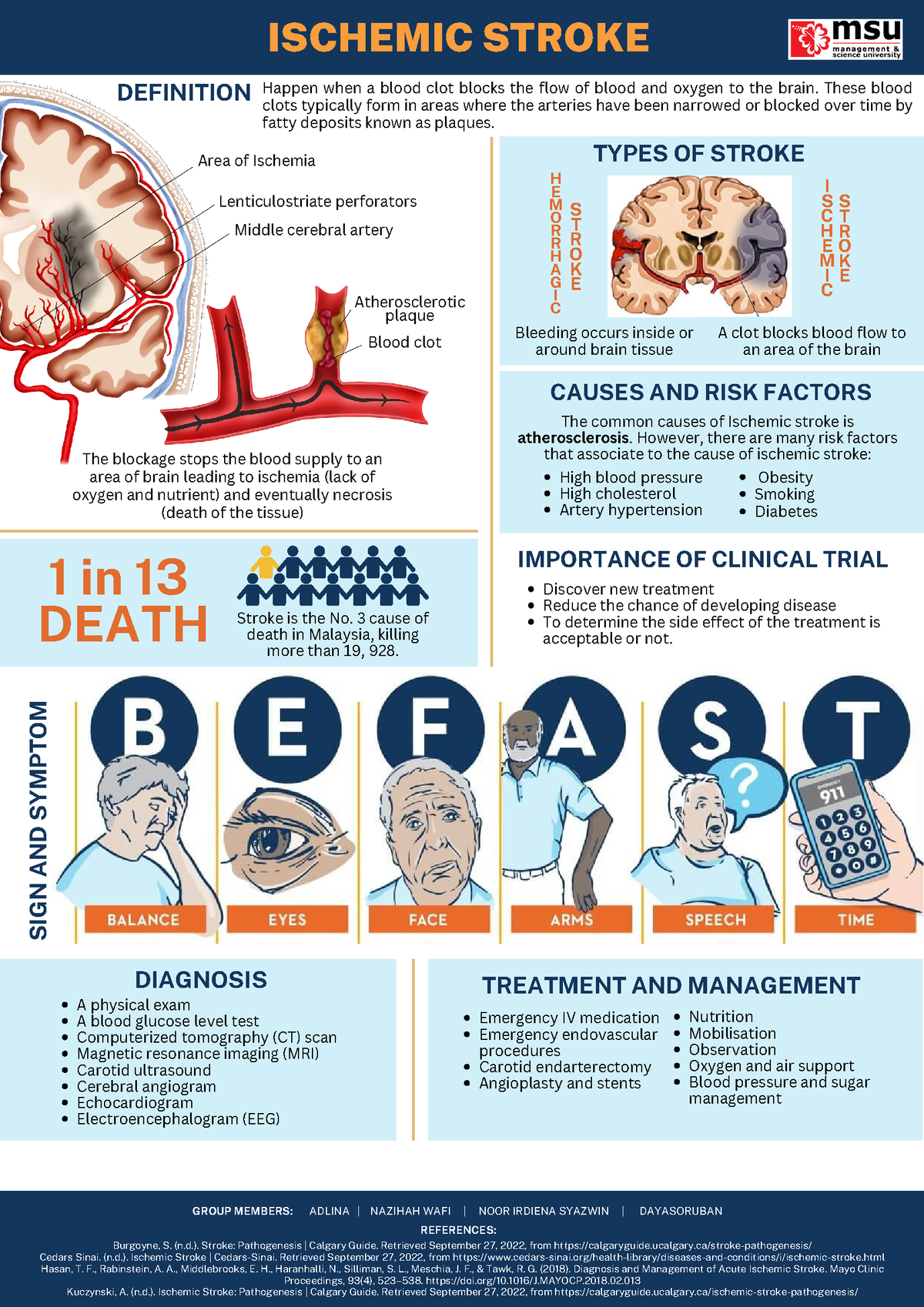 Ischemic Stroke Poster - Area of Ischemia Lenticulostriate perforators ...