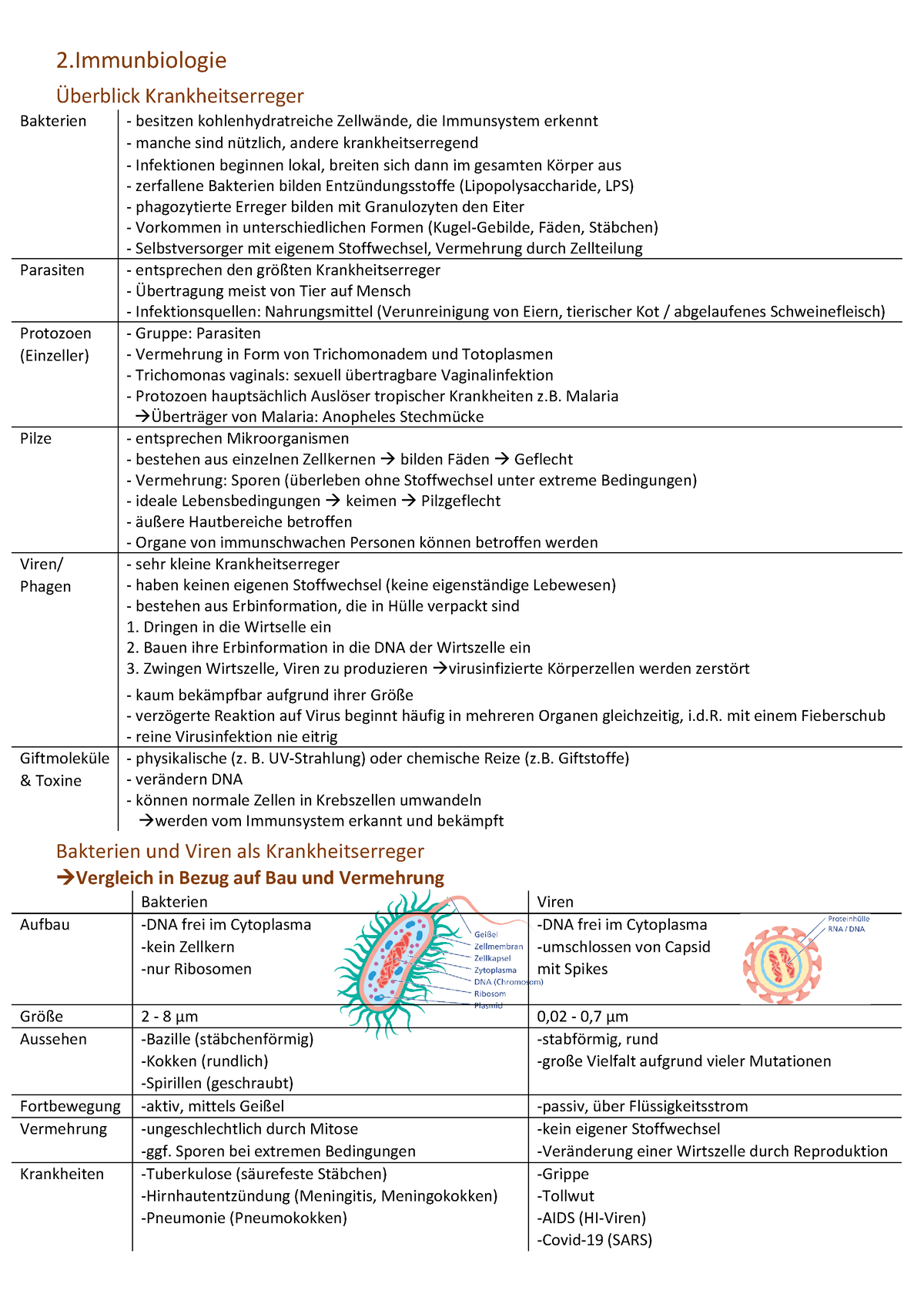 Immunbiologie (Biologie) - 2 Überblick Krankheitserreger Bakterien ...