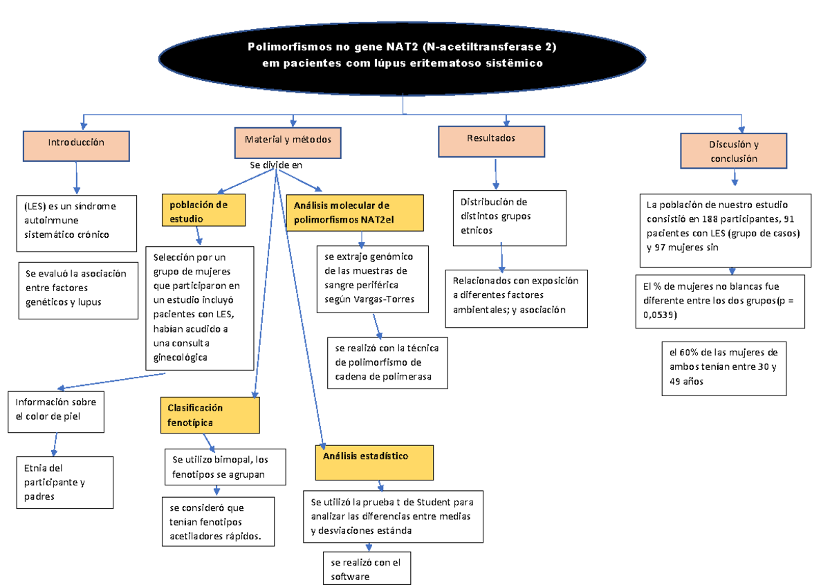 Polimorfismos no gene NAT2 (N-acetiltransferase 2) em pacientes com ...