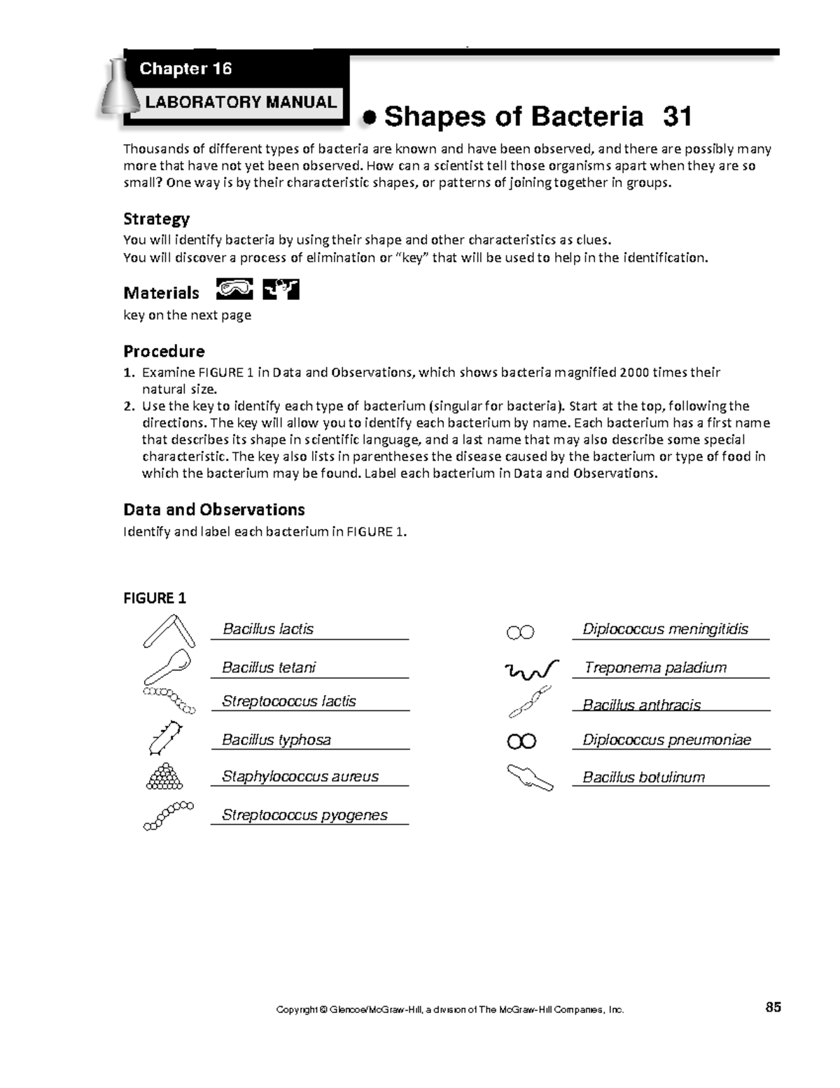 Seatwork on Shapes of Bacteria - NAME: Mationg, Dan Angelo A. DATE: April  12, 2021 CLASS: MEB - Studocu