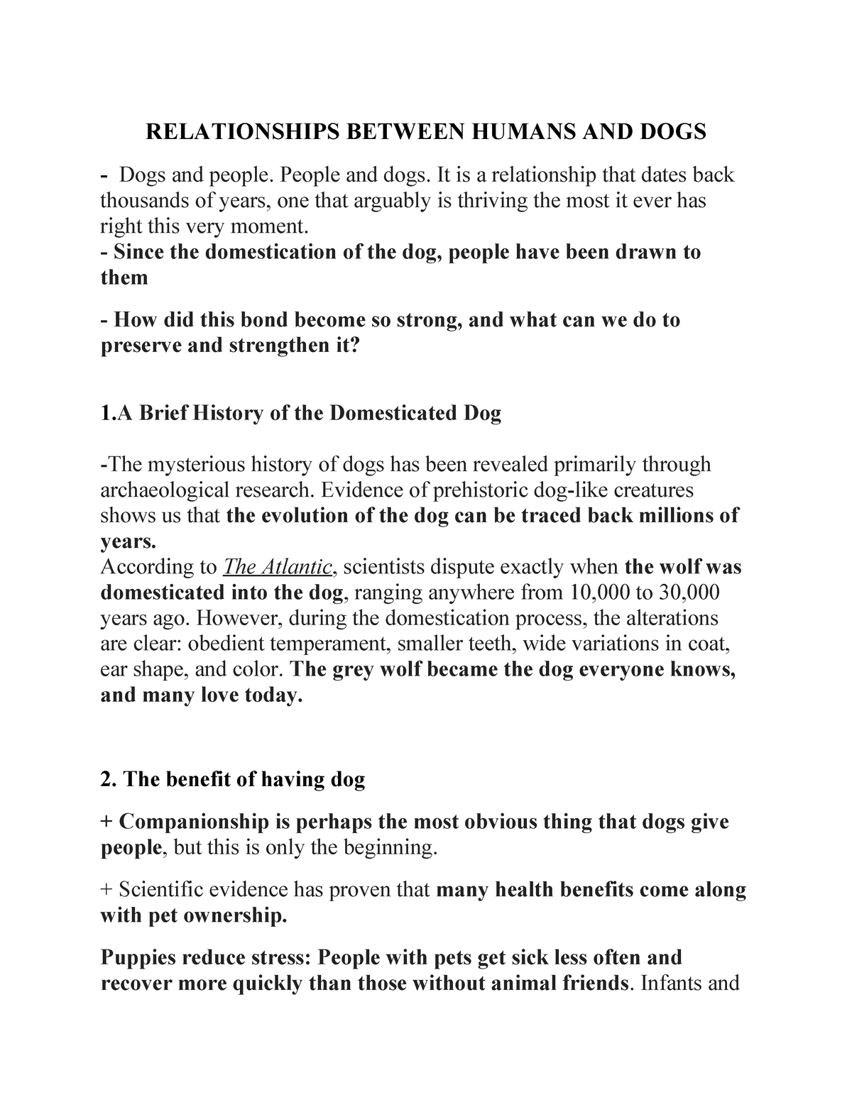 dog and human relationship essay