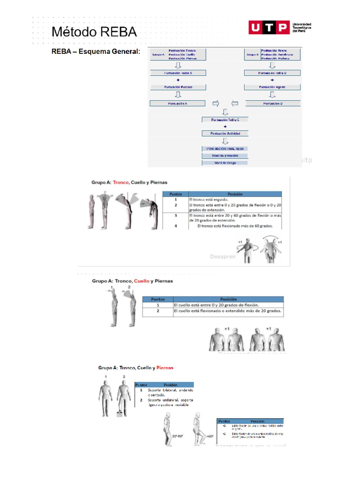 Método REBA-OWAS-RULA - Ergonomía y Estudio del Trabajo - El eje del ...