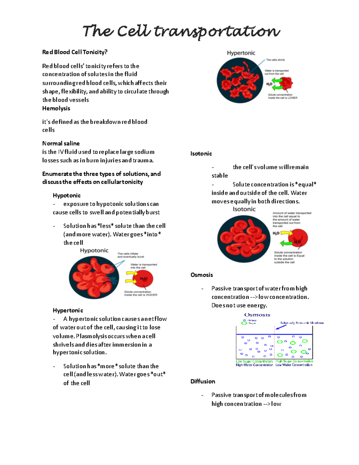 Cell transport and Red Blood Cell Tonicity - The Cell transportation ...