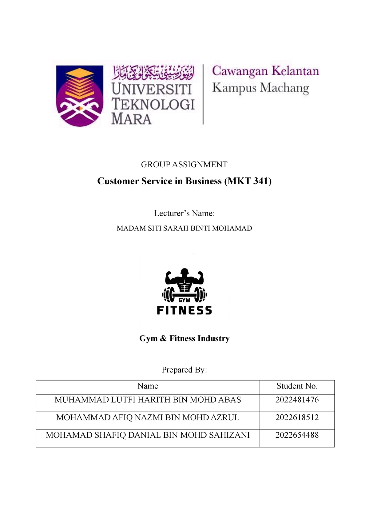 mkt243 group assignment 2021