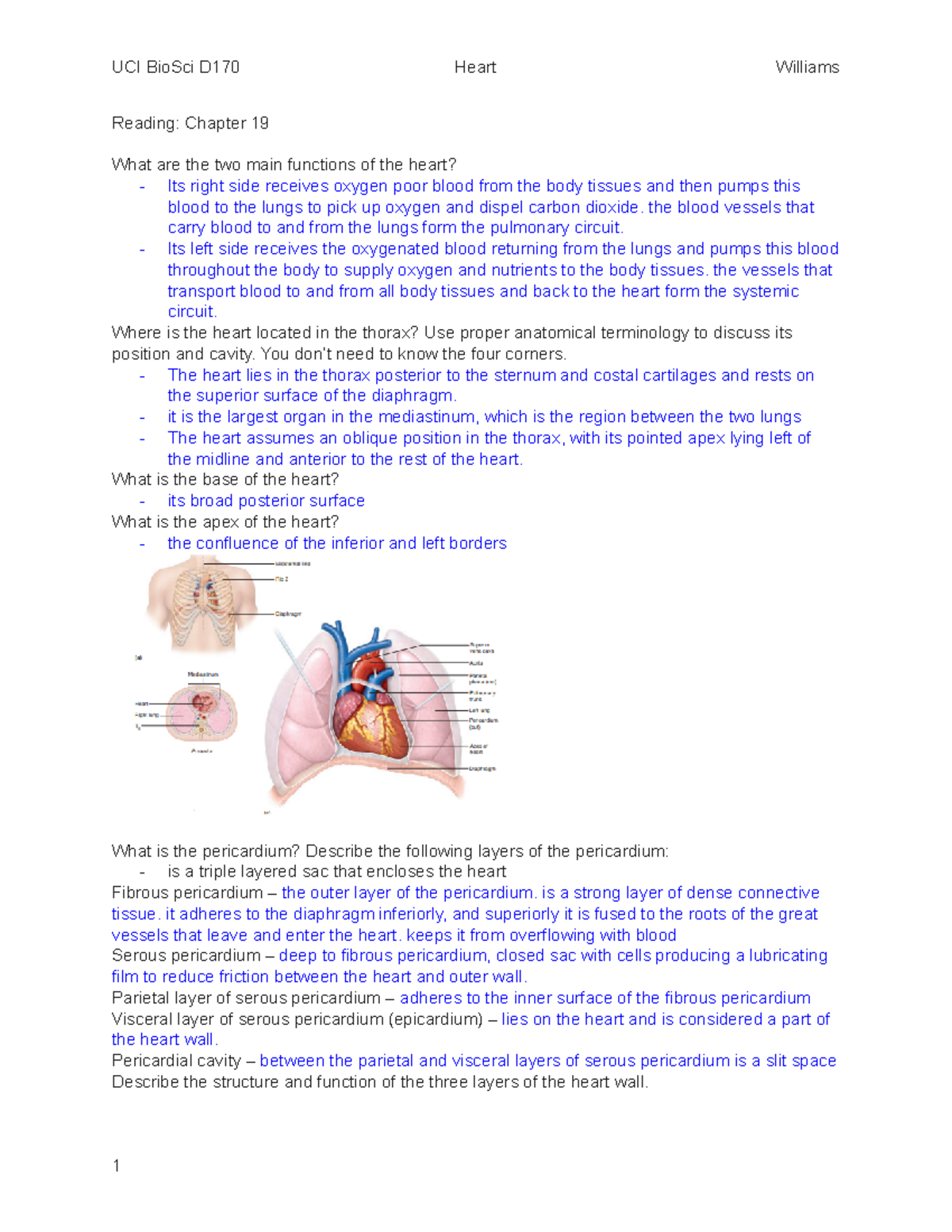 Copy of Reading 16 Heart - Reading: Chapter 19 What are the two main ...